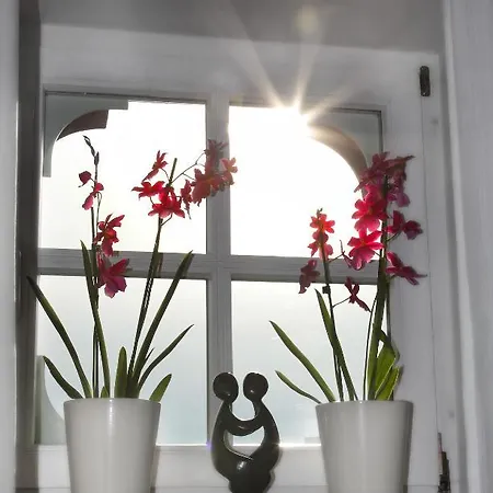 Garni Kaiserstuhl Hotel Ihringen