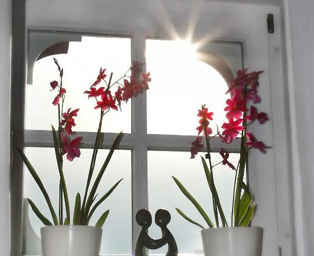 Garni Kaiserstuhl Hotel Ihringen