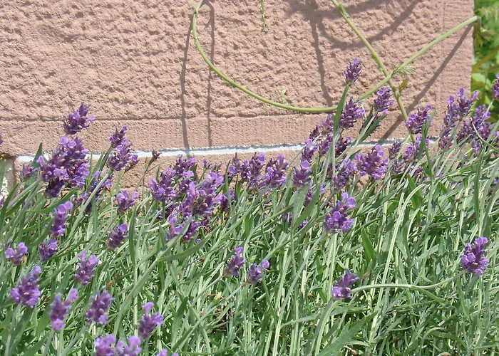 Garni Kaiserstuhl Ihringen